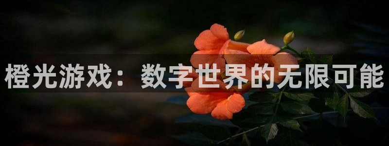 杏悦平台可靠吗：橙光游戏：数字世界的无限可能