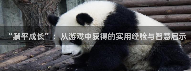 杏悦登陆路线：“躺平成长”：从游戏中获得的实用经验与智慧启示