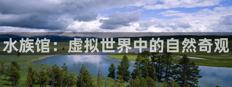 杏悦娱乐注册地址在哪里查