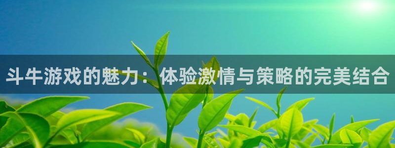 杏悦：斗牛游戏的魅力：体验激情与策略的完美结合