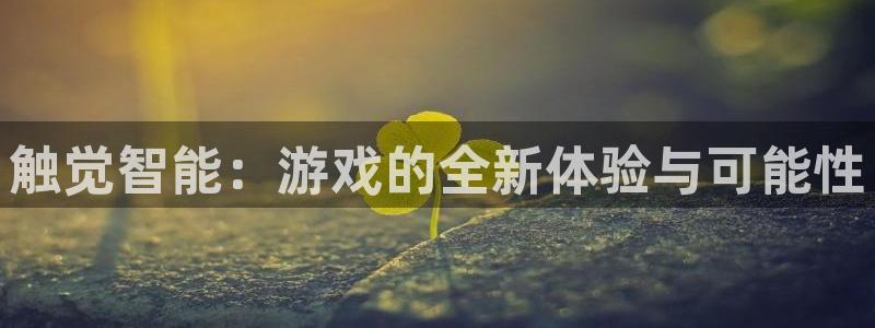 杏悦娱乐注册平台有哪些：触觉智能：游戏的全新体验与可能性