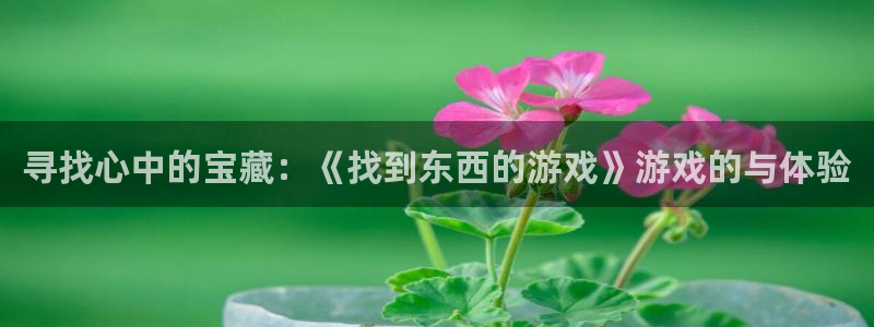 杏悦娱乐是什么平台的：寻找心中的宝藏：《找到东西的游戏》游戏