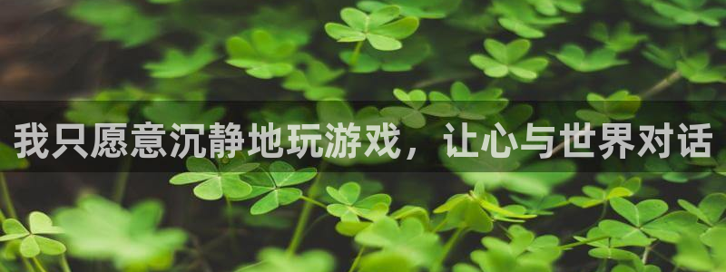 杏悦平台注册流程：我只愿意沉静地玩游戏，让心与世界对话