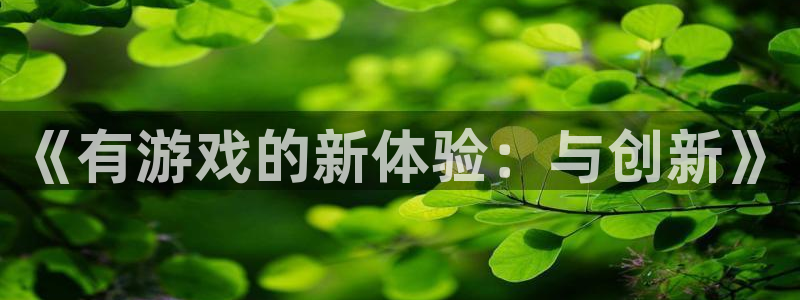 杏悦登入：《有游戏的新体验：与创新》