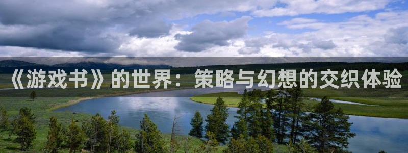 杏悦平台登录入口：《游戏书》的世界：策略与幻想的交织体验