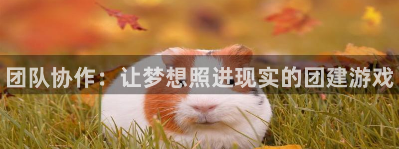 杏悦平台官网下载安装：团队协作：让梦想照进现实的团建游戏