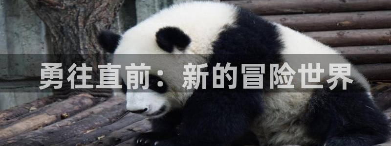 杏悦娱乐注册地址在哪里