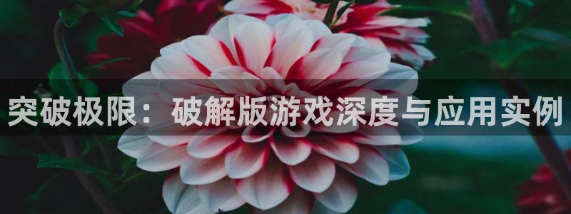 杏悦平台登录入口