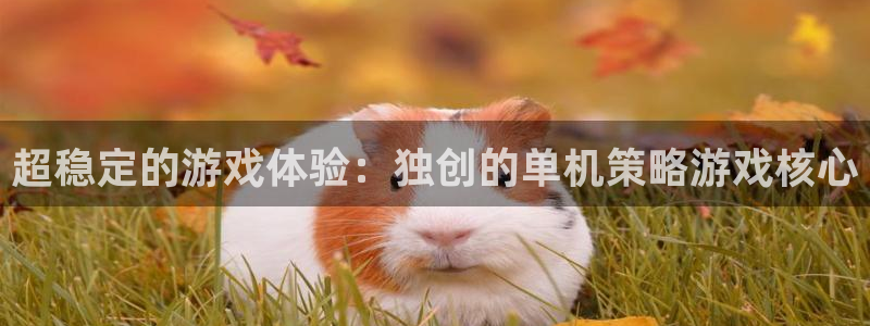 杏悦娱乐登录网页版：超稳定的游戏体验：独创的单机策略游戏核心