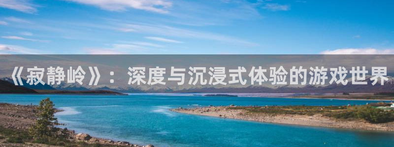 杏悦娱乐注册地址查询官网：《寂静岭》：深度与沉浸式体验的游戏