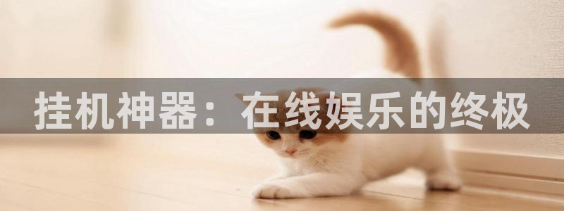 杏悦平台注册要钱吗：挂机神器：在线娱乐的终极